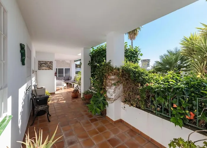 Amapolas * ネルハ